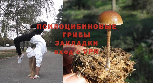 соль курить ск Верея