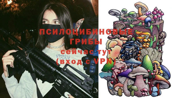 СК Строитель