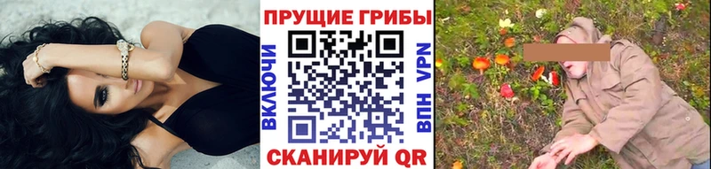 OMG маркетплейс Лодейное Поле маркетплейс официальный сайт Псилоцибиновые грибы Magic Shrooms
